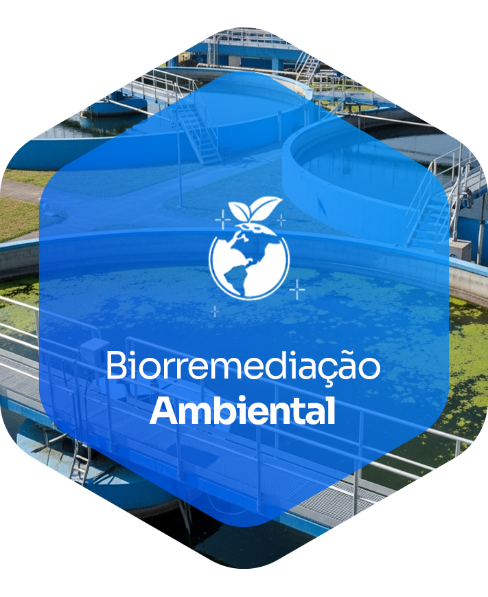 Biorremediação Natural — soluções biológicas para efluentes e áreas contaminadas.