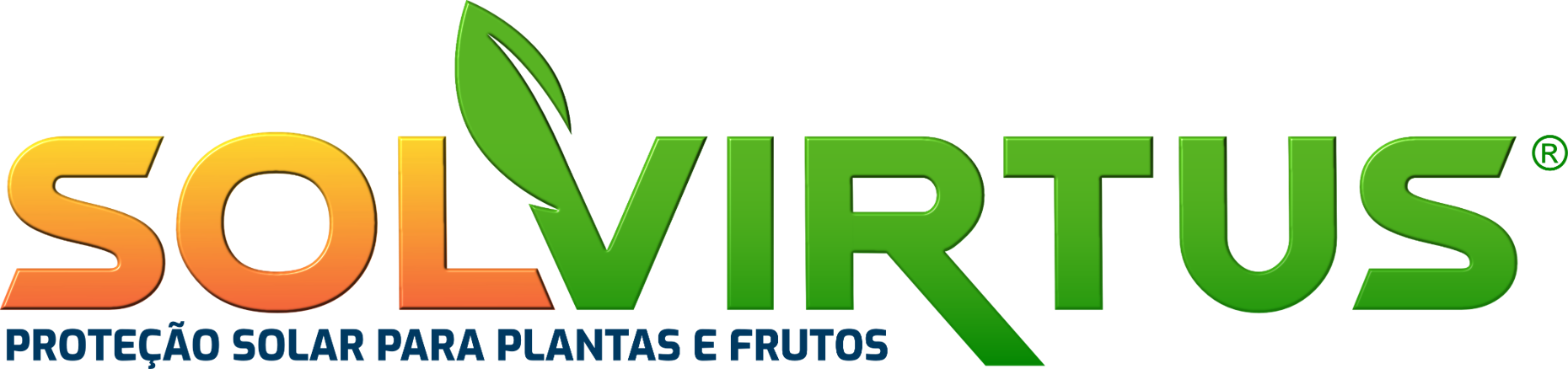 Logo Solvirtus.